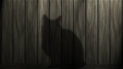 shadow of cat on wood wall